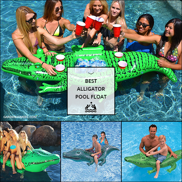 Best Alligator Pool Float