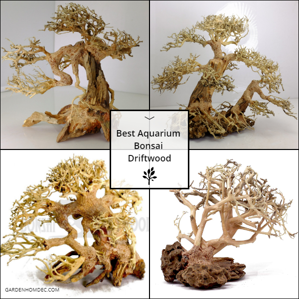 Best Aquarium Bonsai Driftwood