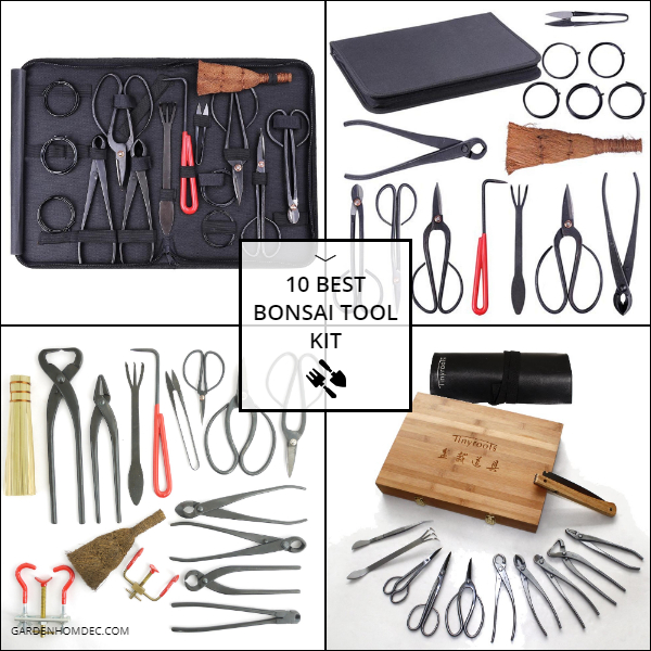 10 Best Bonsai Tool Kit