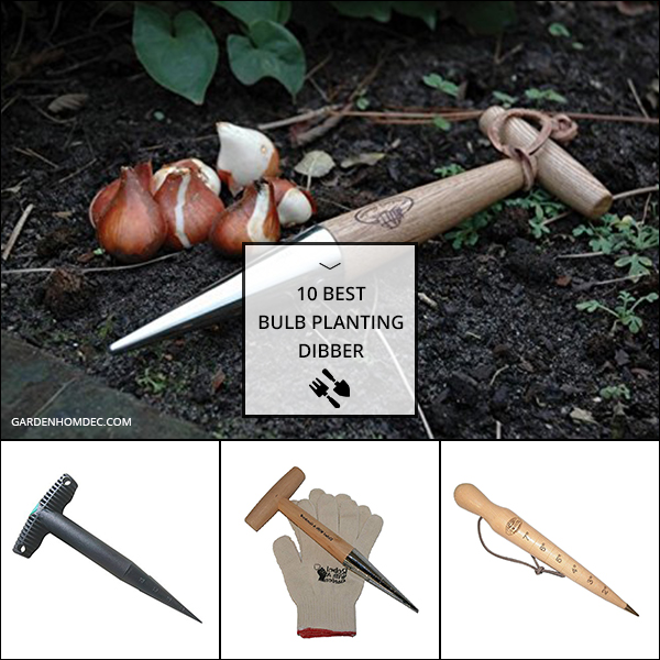 10 Best Bulb Planting Dibber
