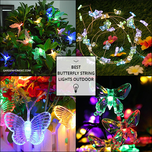 Best Butterfly String Lights Outdoor