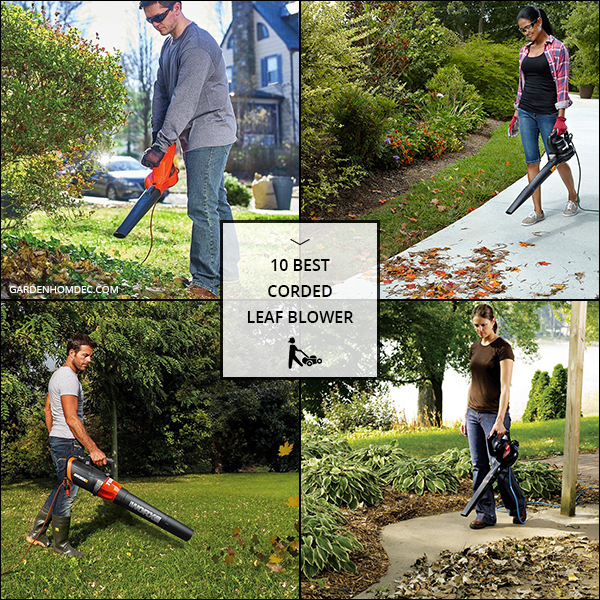 10 Best Corded Leaf Blower