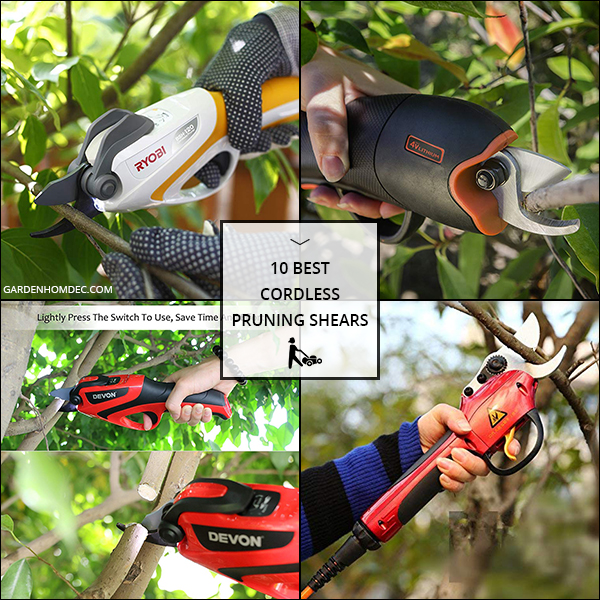 Best Cordless Pruning Shears