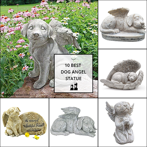 Best Dog Angel Statue Reviewed