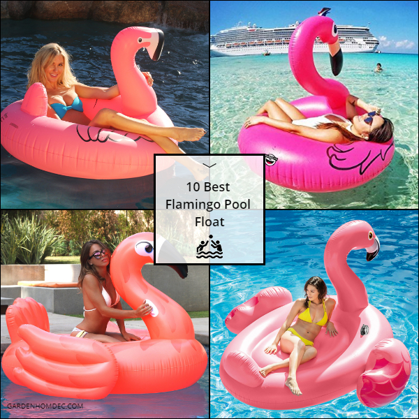 10 Best Flamingo Pool Float