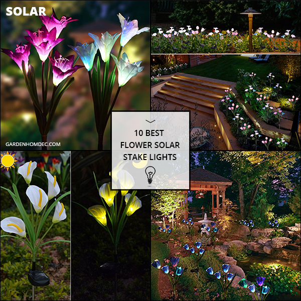 10 Best Flower Solar Stake Lights
