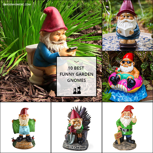 10 Best Funny Garden Gnomes