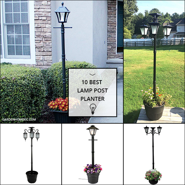 10 Best Lamp Post Planter
