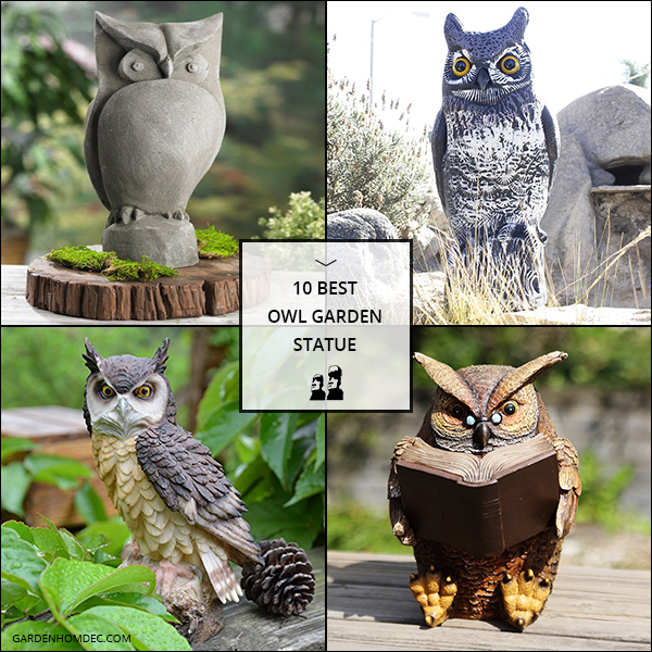 10 Best Owl Garden Statue
