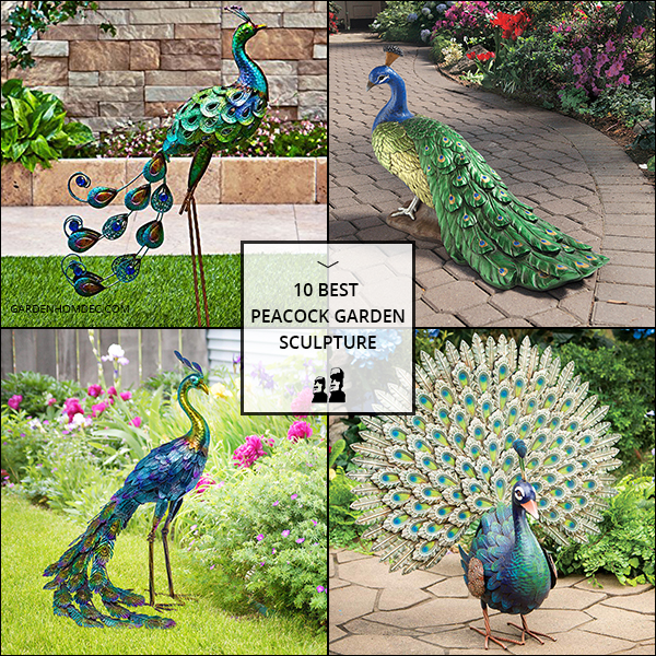 10 Best Peacock Garden Sculpture