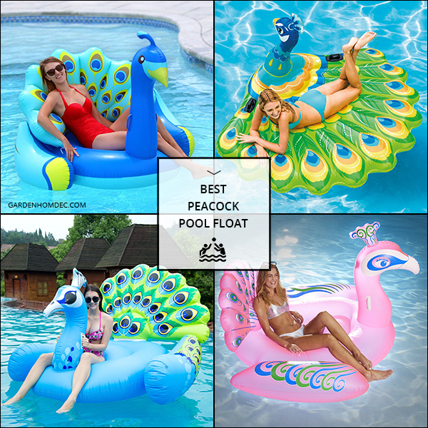 Best Peacock Pool Float