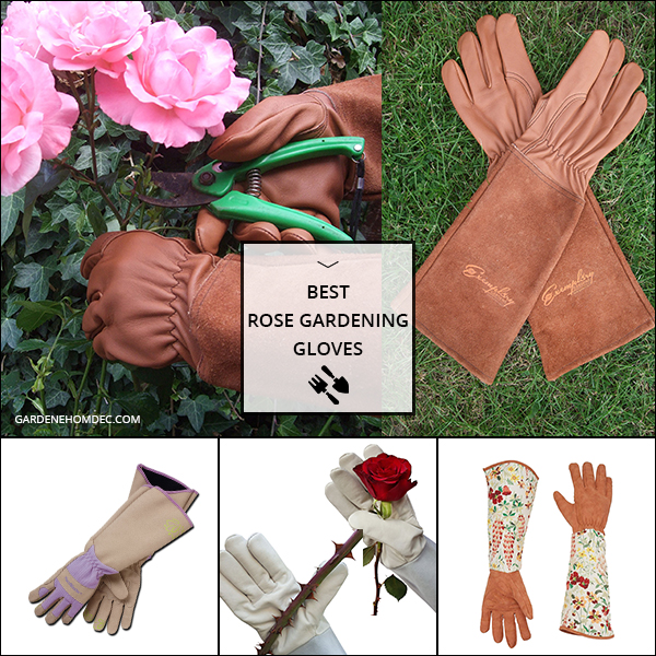 Best Rose Gardening Gloves