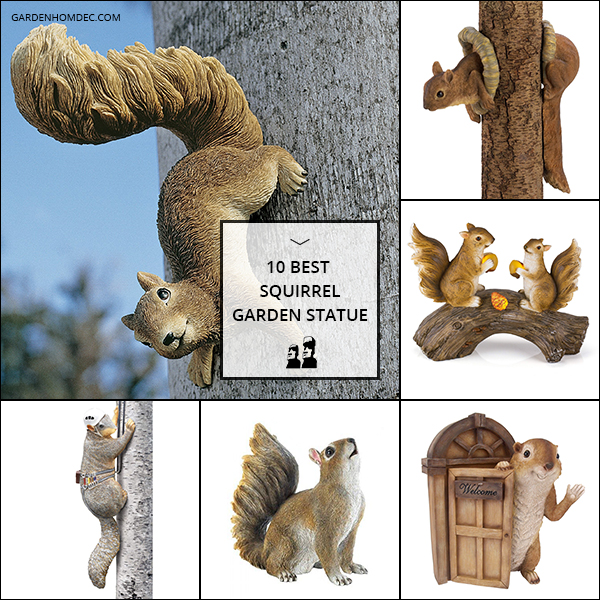 10 Best Squirrel Garden Statue