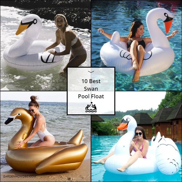 10 Best Swan Pool Float