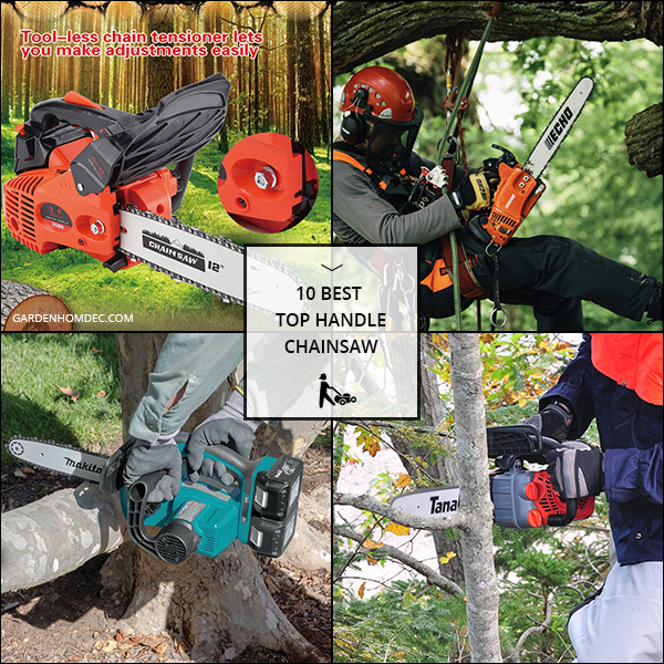 10 Best Top Handle Chainsaw