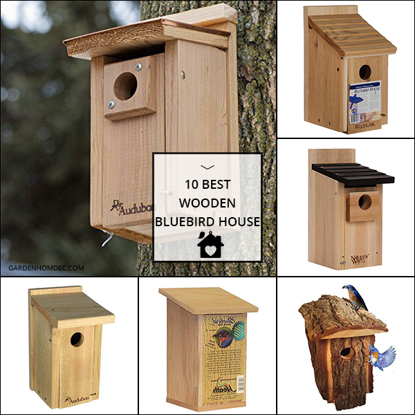 Top Rated Wooden Bluebird House